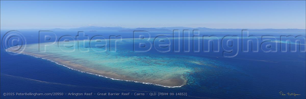 Peter Bellingham Photography Arlington Reef - Great Barrier Reef - Cairns - QLD (PBH4 00 14853)